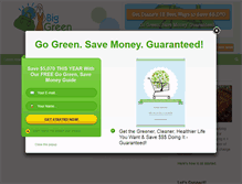 Tablet Screenshot of biggreenpurse.com